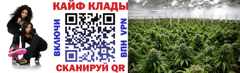 Где продают наркотики Тарко-Сале Каннабис Cocaine ГАШИШ Alpha-PVP Мефедрон